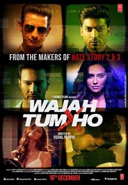 Wajah Tum Ho 2016 3685 Poster.jpg