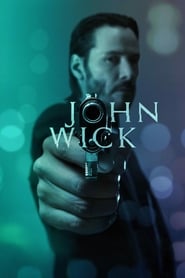 John Wick 2014 Hindi Dubbed 28951 Poster.jpg