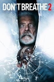 Dont Breathe 2 2021 Hindi Dubbed 31319 Poster.jpg